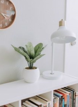 photo de une etagere dans un appartement avec des livres une plante une horloge et une lampe