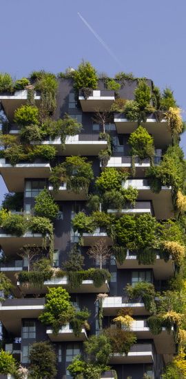 image immeuble avec nombreuses plantes sur les balcons