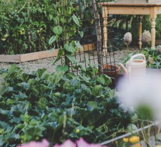 image de jardin avec des plantes fleurs et une table