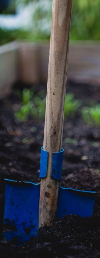 image de pelle plantee dans un potager avec plantes