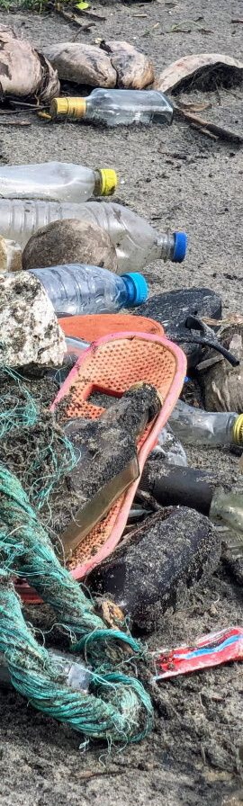 image de dechets plastiques sur la plage