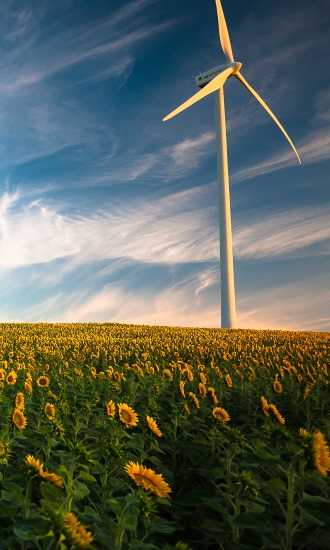 image de champ de tournesols avec eolienne