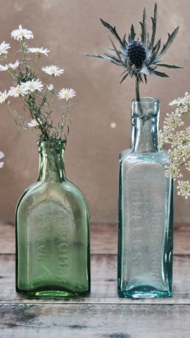 image de jardiniere avec des plantes