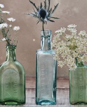 image de jardiniere avec des plantes