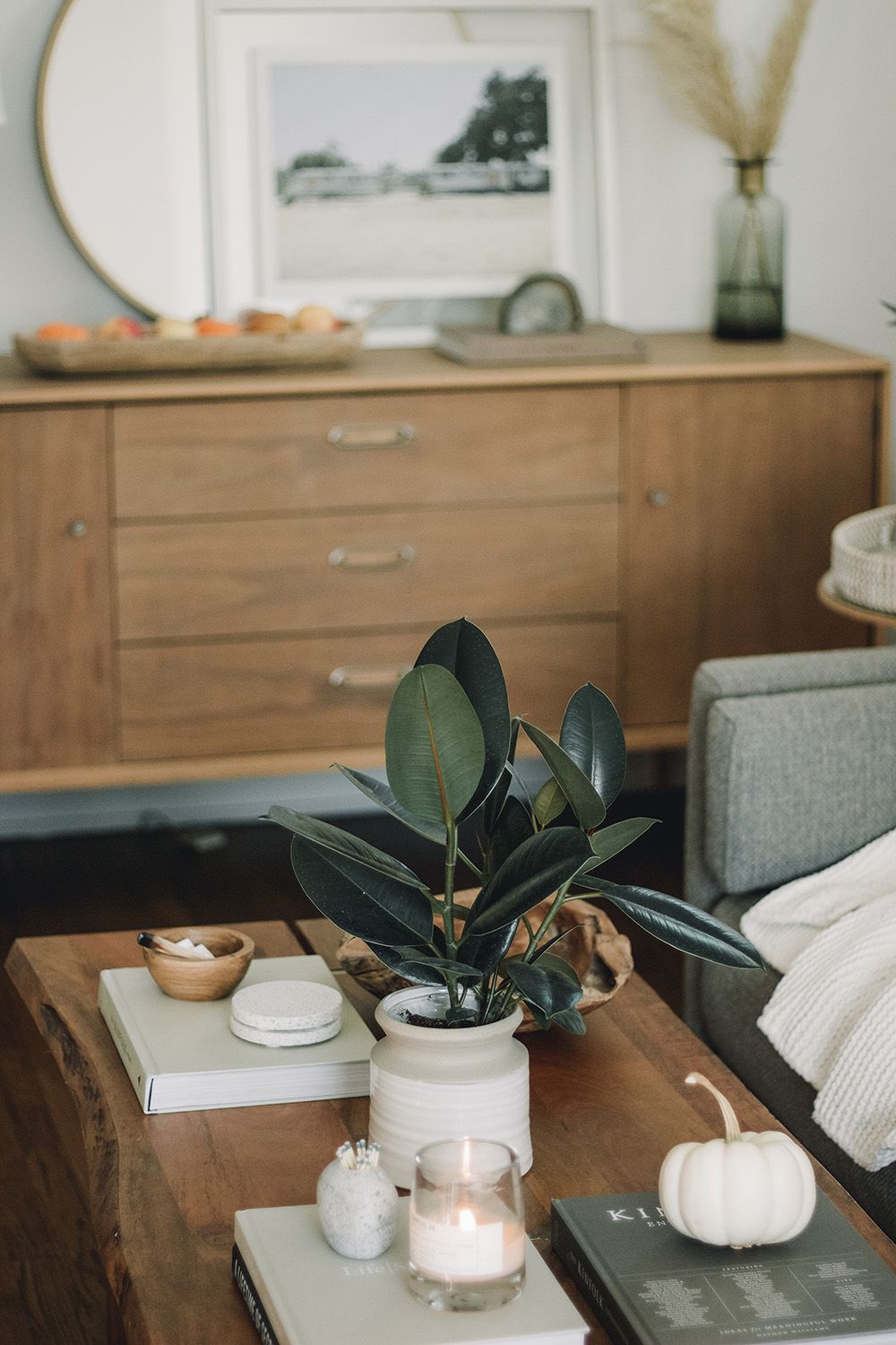 photo de salon avec table basse et plante en pot